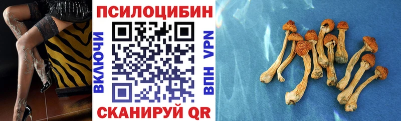 Галлюциногенные грибы мицелий  Арск 